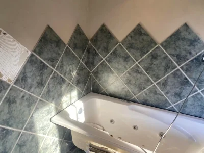 473079882_579776474833368_8311623272895018959_n